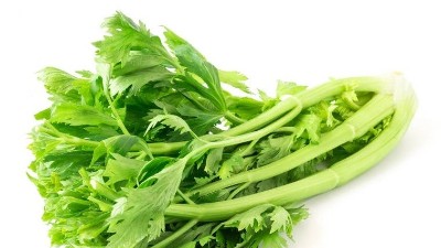 磷酸二氢钾，能和杀菌剂混用吗?别再犯错啦!