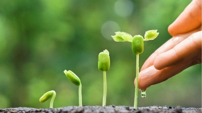 为什么肥料里有“腐植酸”效果就好？莱昂水溶肥给你答案