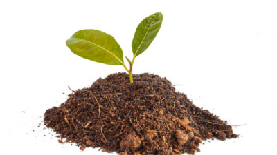 土壤肥力和酸碱性怎么判断?其实很简单，不用花一分钱