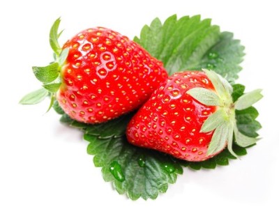 怎样抓好草莓花芽分化?记住这5点很重要