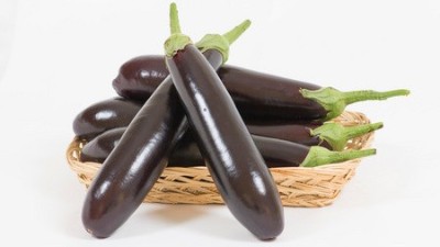 夏季高温辣椒、茄子、番茄等茄果蔬菜做到6点，增产又增收