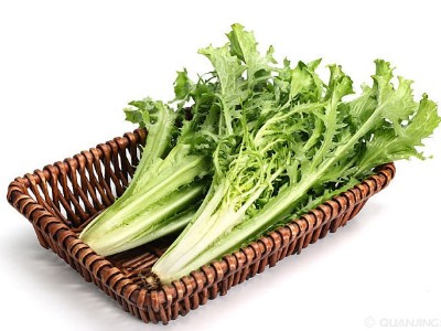 低温天气大棚蔬菜想要安全越冬，应该如何应对?