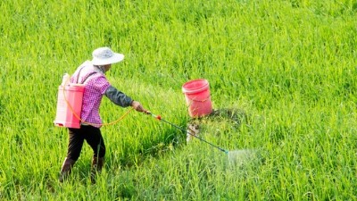 让你二次稀释你嫌弃费事，你知道二次稀释多重要吗?